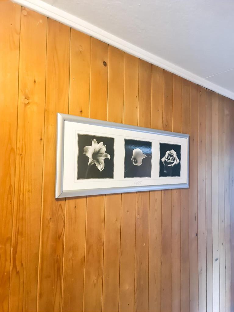 Abendberg Apartment - Aare Jungfrau Ag 빌더스빌 외부 사진